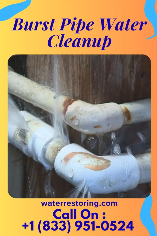 Burst Pipe Water Cleanup in Lewistown, MD