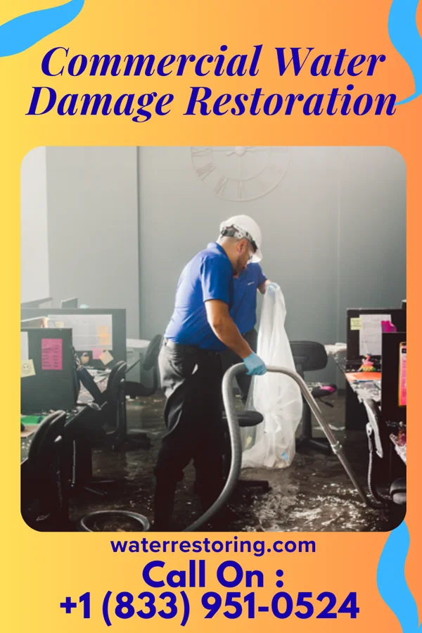 Commercial Water Damage Restoration in Lewistown, MD