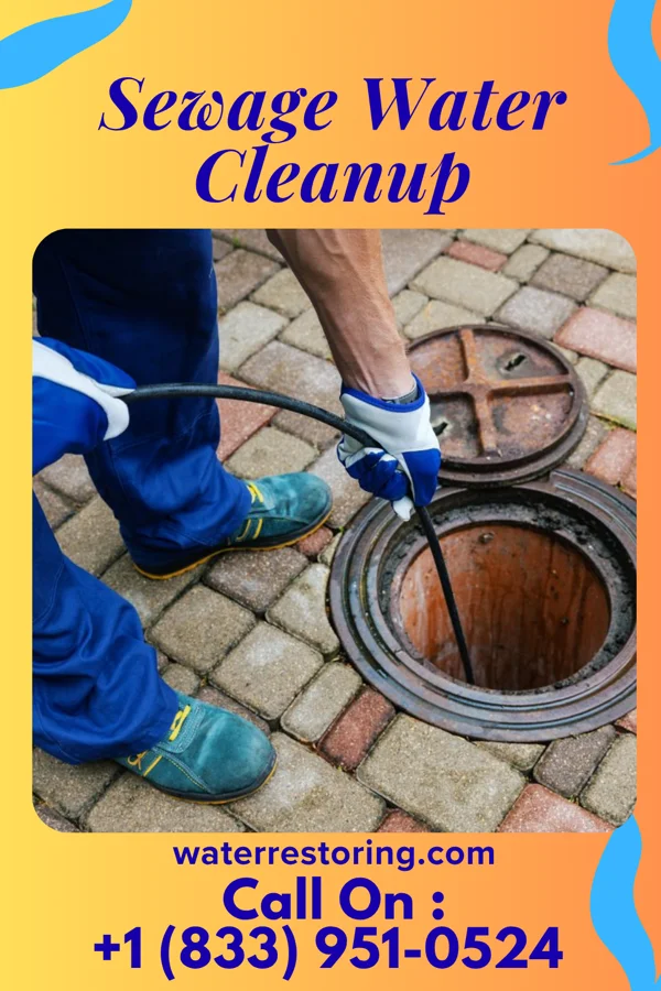 Sewage Water Cleanup in Lewistown, MD