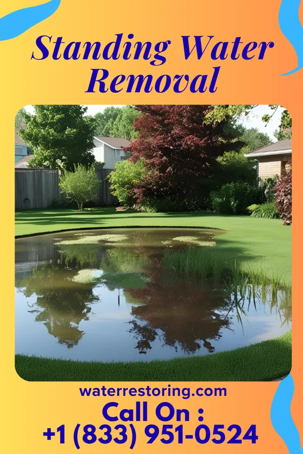 Standing Water Removal in Lewistown, MD